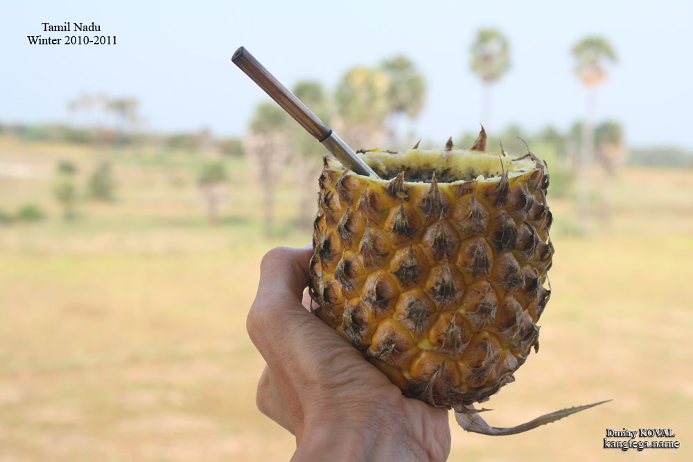 MateTerere2.jpg